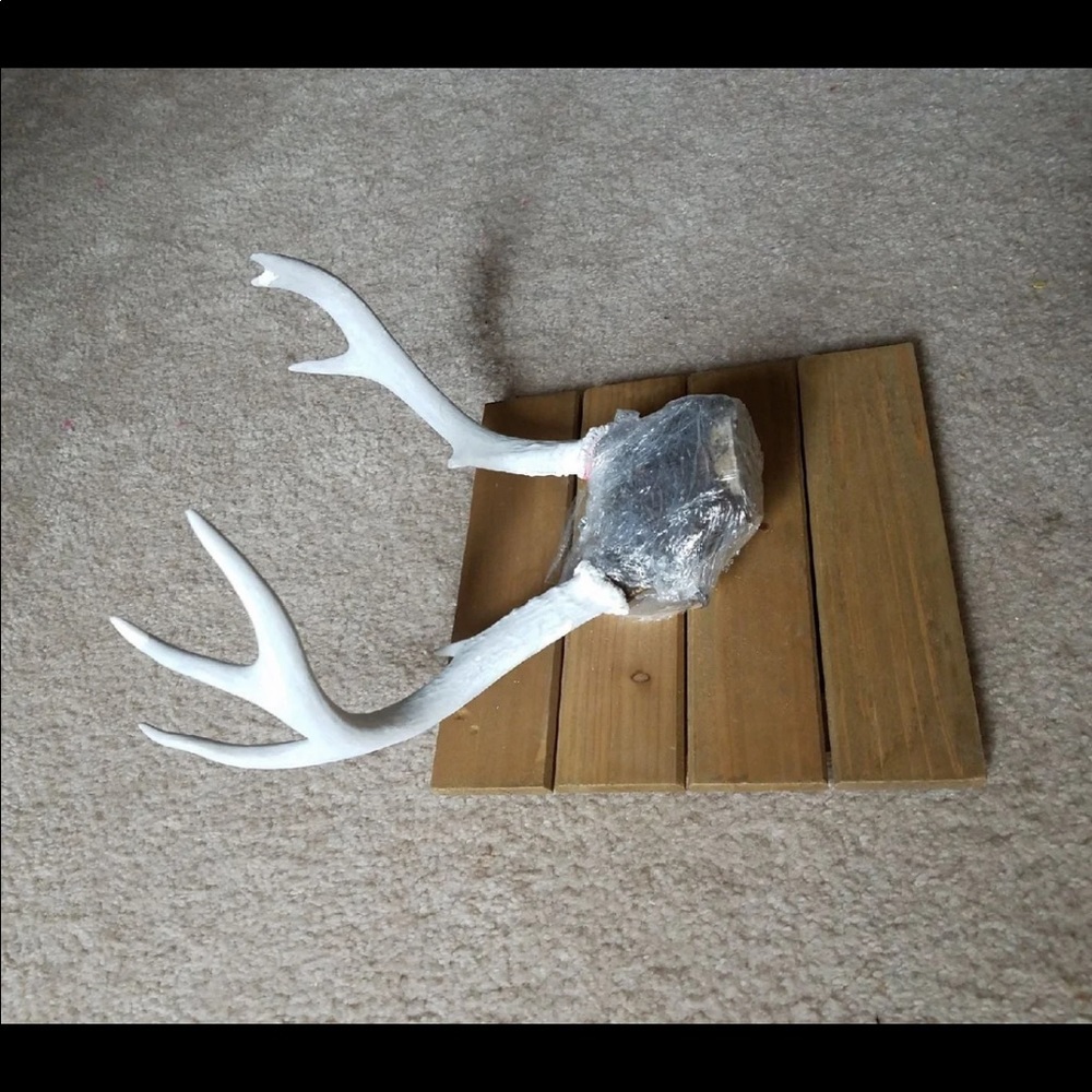 Antlers - Picture 3 of 5